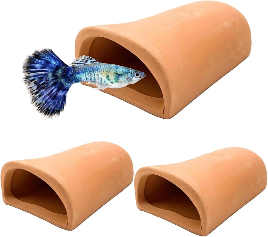 X^[gTCh Y yǉBƃVF^[  Y B IuWF _J (uE 3,  12.5cm)