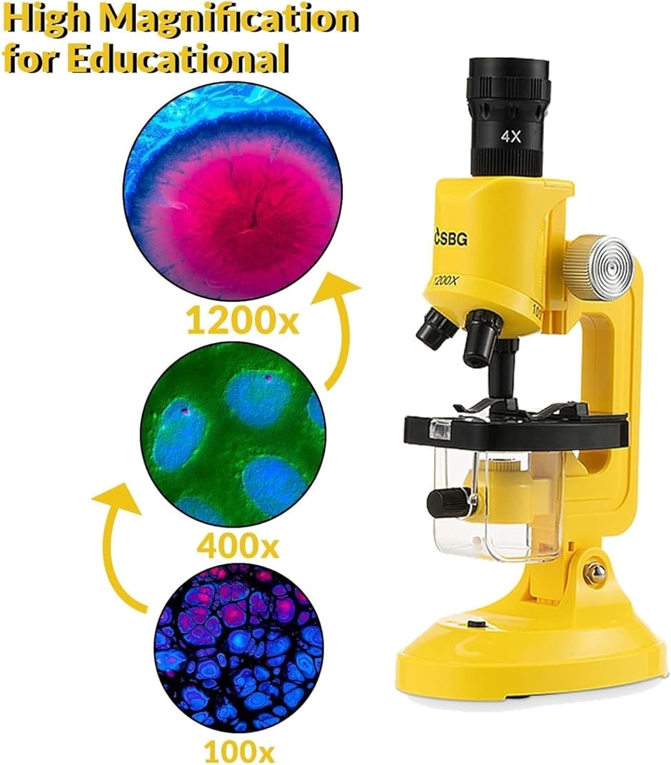 顕微鏡 LED 100X 400X 1200Xプレパラート 12枚つき学生 子供 初心者 学習用 生物標本 実体 花粉 宝石 自由研究用｜zebrand-shop｜04