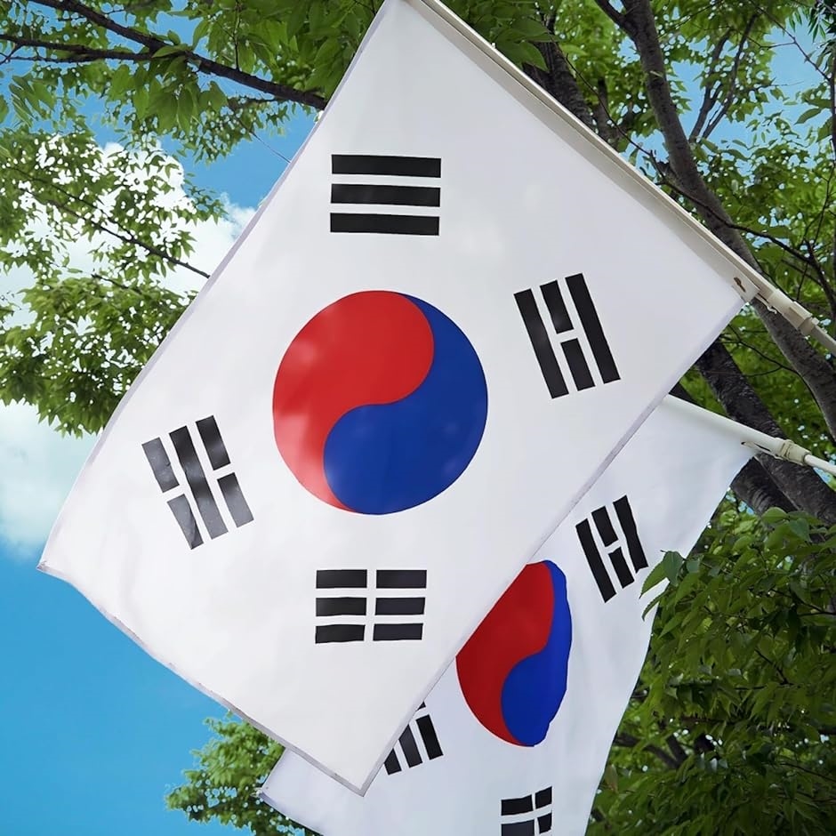 国旗 韓国 特大 大きい 大判 150 90 応援 壁掛け 飾り 飾り付け フラッグ｜zebrand-shop｜02