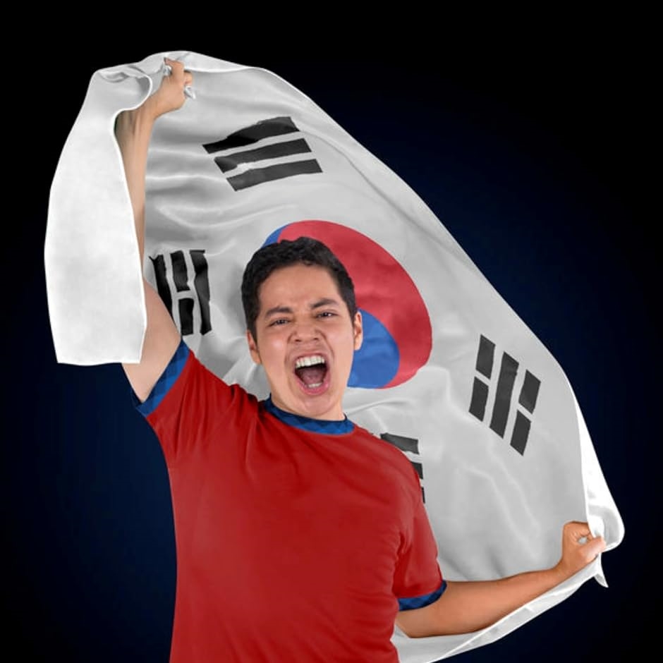 国旗 韓国 特大 大きい 大判 150 90 応援 壁掛け 飾り 飾り付け フラッグ｜zebrand-shop｜03