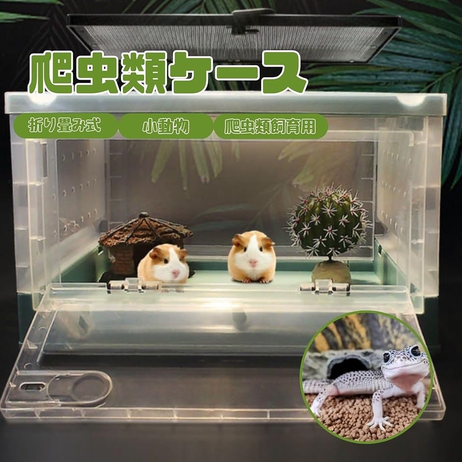 爬虫類ケース 折り畳み式 爬虫類飼育 小動物 爬虫類ケージ リクガメ