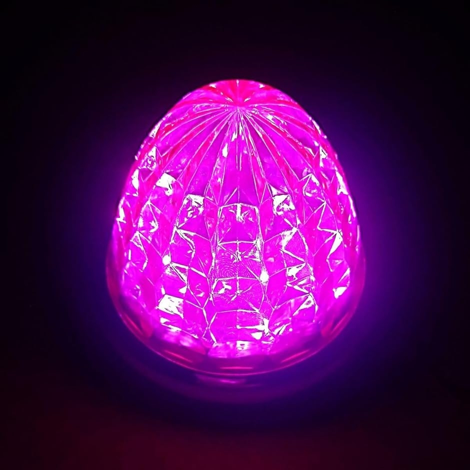 24V トラック用 LED マーカーランプ サイド 8面クリスタルカット仕様