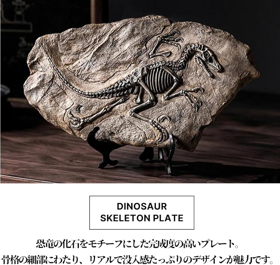 恐竜 化石 骨 骨格標本 骨格模型 おもちゃ フィギュア 置物 知育 インテリア｜zebrand-shop｜02