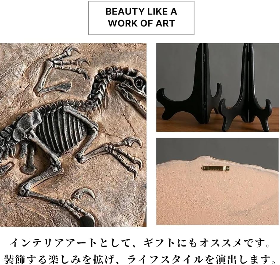 恐竜 化石 骨 骨格標本 骨格模型 おもちゃ フィギュア 置物 知育 インテリア｜zebrand-shop｜05