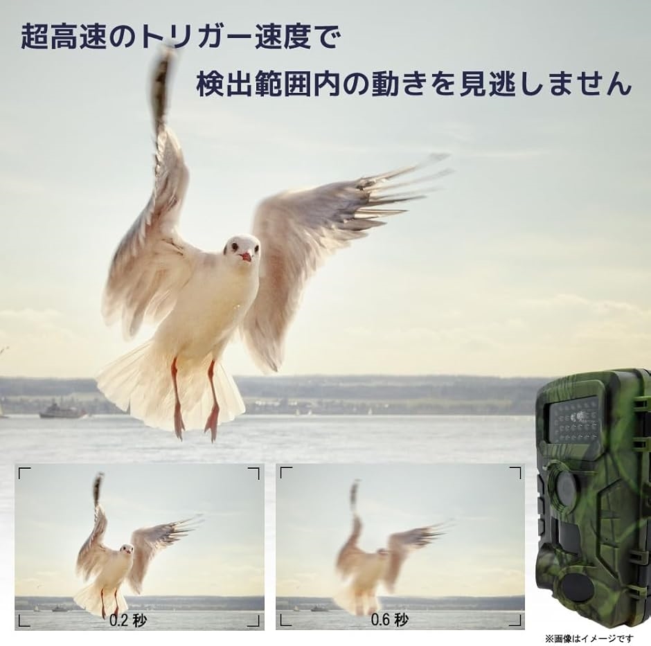 トレイルカメラ 5800万画素 防犯カメラ 屋外 小型 防水 IP66