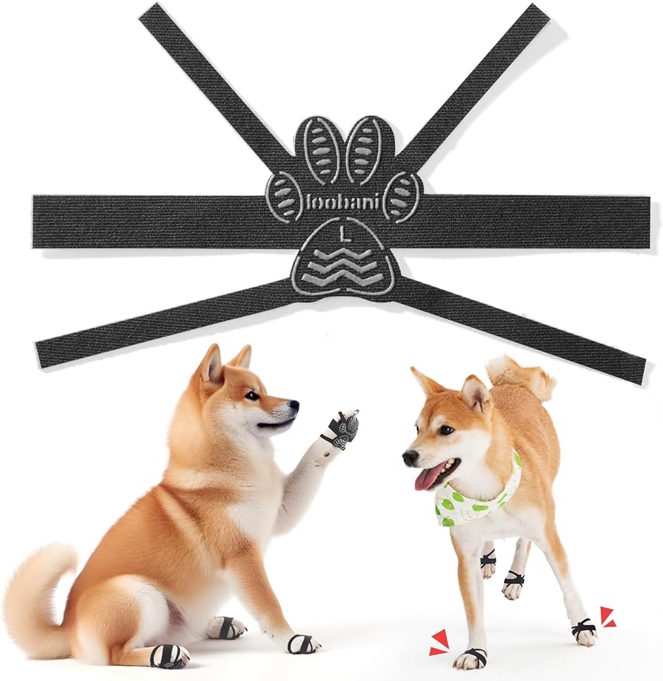 Amazon.co.jp: ドギーマン 犬用おやつ 絹紗 スティック プレーン 100グラム (x 6) : ペット用品