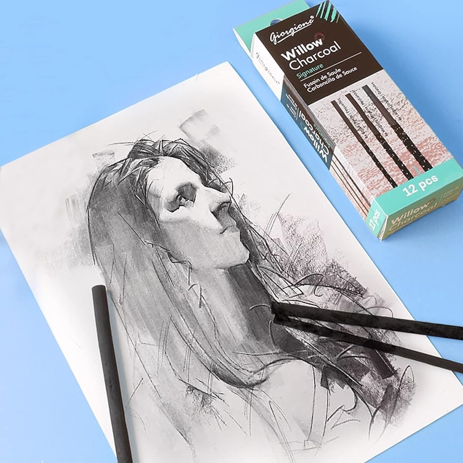 12本セット 木炭スティック デッサン チャコール 絵画 スケッチ 木炭筆