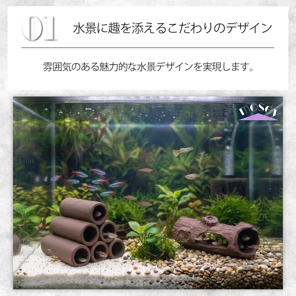 水槽 隠れ家 土管 流木 セット 陶器 筒 アクアリウム オブジェ