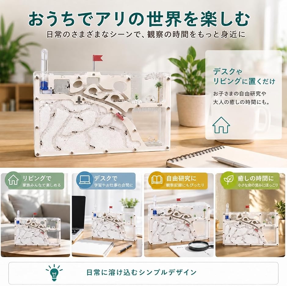 アリの巣 観察 キット 砂・蟻 別売 アリ飼育キット 飼育ケース 飼育