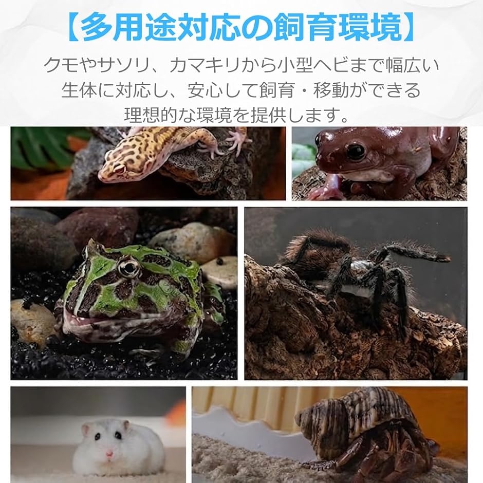 爬虫類 ケージ 亀 飼育ケース トカゲ 蛇 カ...の詳細画像4