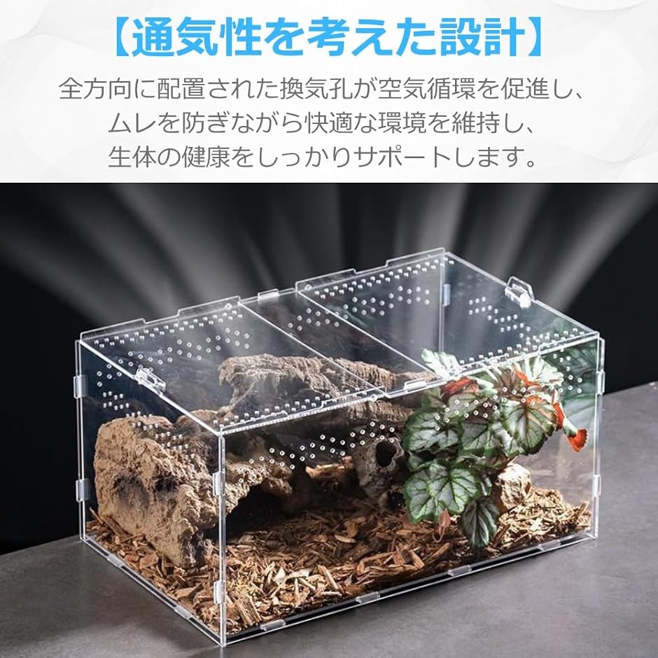 爬虫類 ケージ 亀 飼育ケース トカゲ 蛇 カ...の詳細画像5