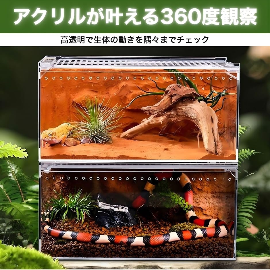爬虫類 ケージ ボックス 飼育 ケース アクリ...の詳細画像3