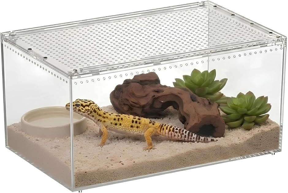 爬虫類 ケージ ボックス 飼育 ケース アクリル (クリア, 40x25x20cm
