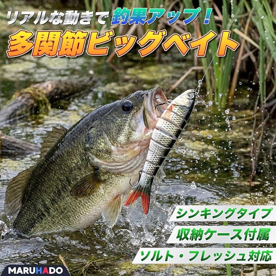 ビッグベイト シーバス ルアー 5本セット シンキングミノー 収納ケース