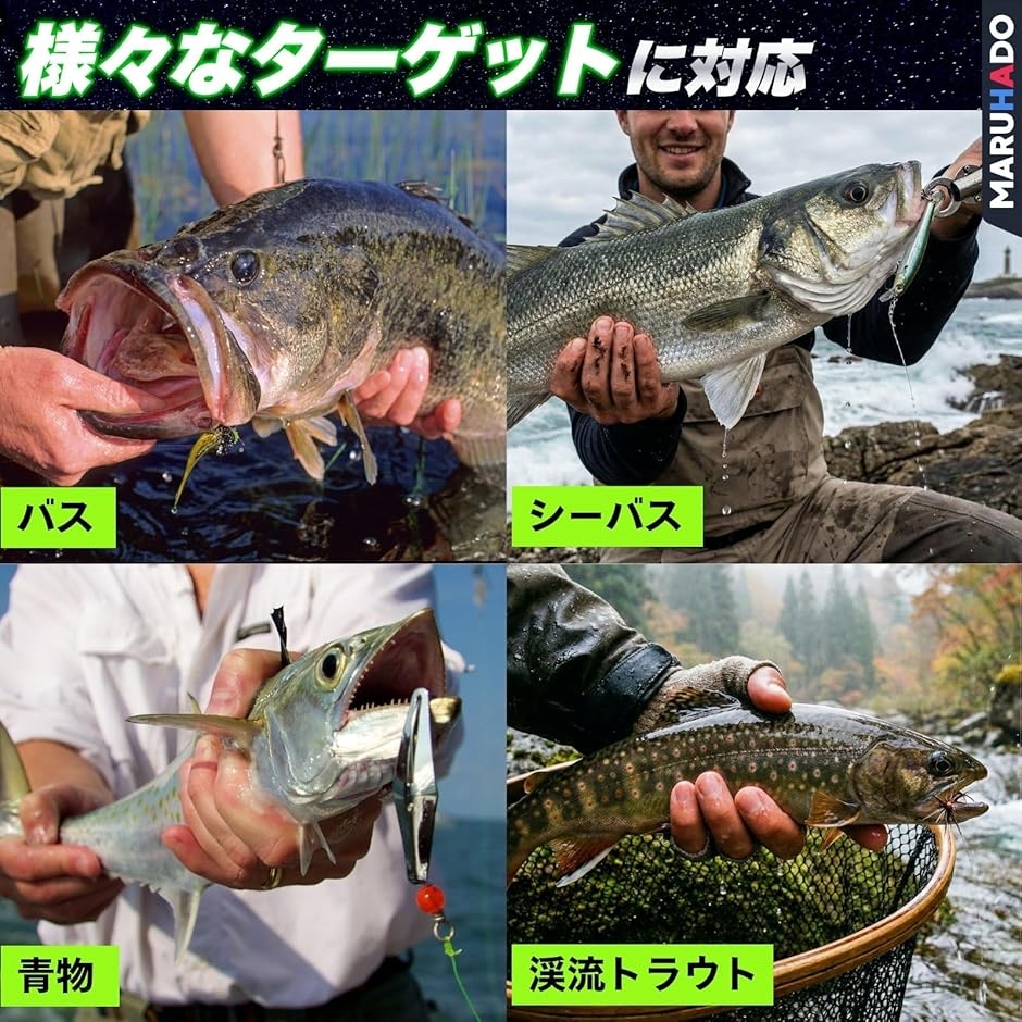 ビッグベイト シーバス ルアー 5本セット シンキングミノー 収納ケース