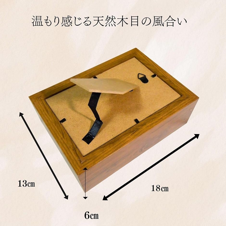 コレクションケース 標本キット標本箱 昆虫採集 小型 木製
