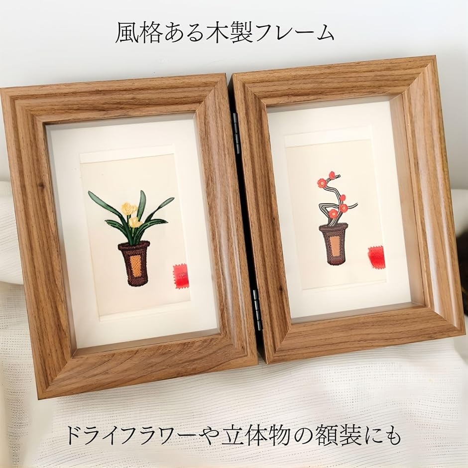 コレクションケース 標本キット標本箱 昆虫採集 小型 木製