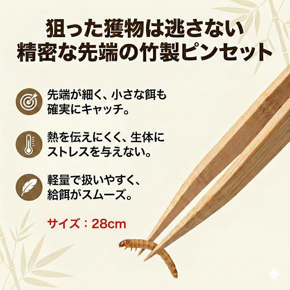 爬虫類用 飼育 3点セット防逃げエサ皿/竹製ピンセット/デジタル温湿度