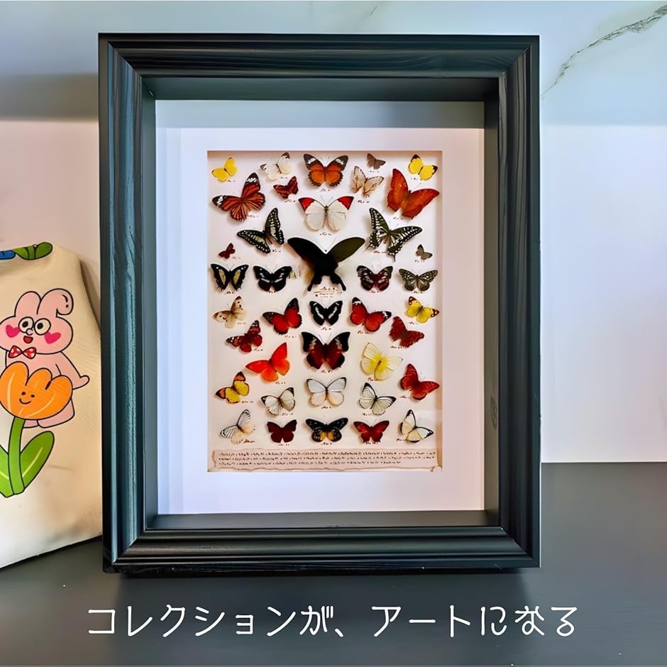 コレクションケース 標本キット 標本箱 昆虫採集 小型 木製