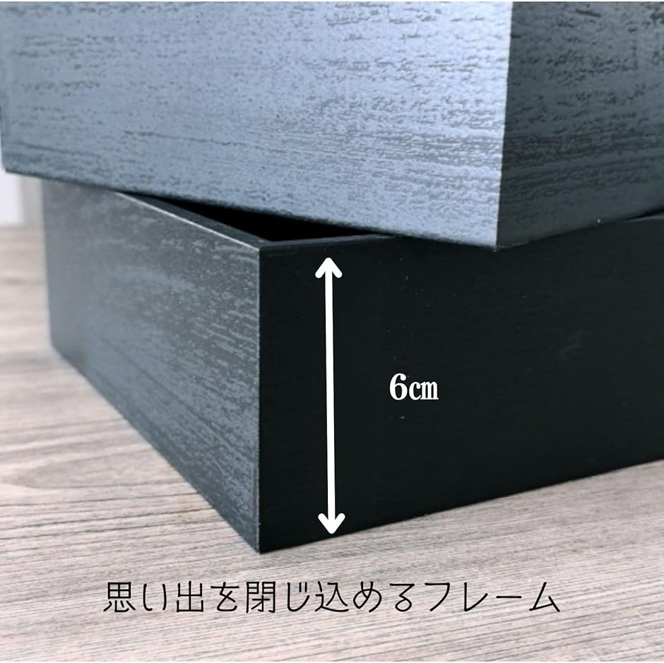 コレクションケース 標本キット 標本箱 昆虫採集 小型 木製