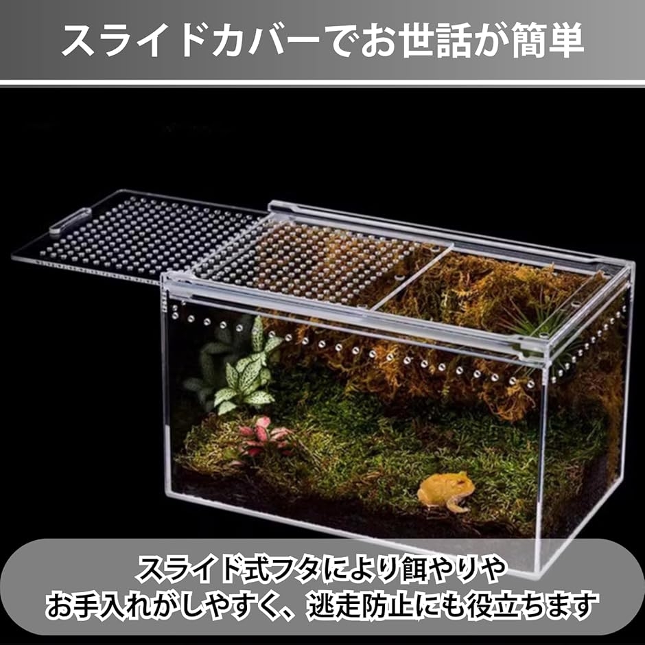 爬虫類のおすすめ人気商品一覧 通販 - Yahoo!ショッピング