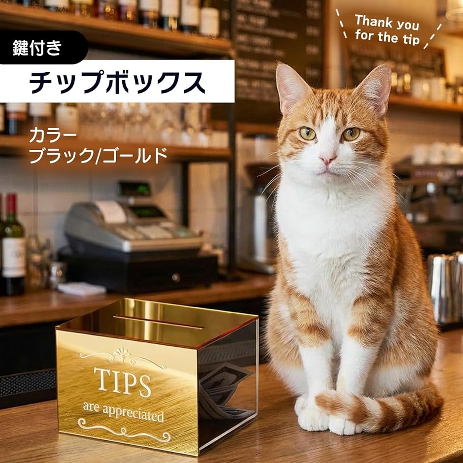 鍵付きチップボックス アクリル製 貯金箱 募金箱 提案箱 抽選箱 店舗