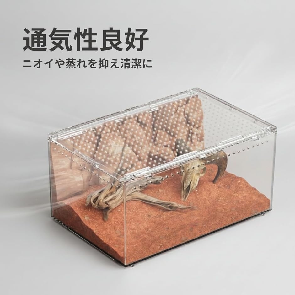 爬虫類 ケージ レオパ シェルター アクリル製...の詳細画像4