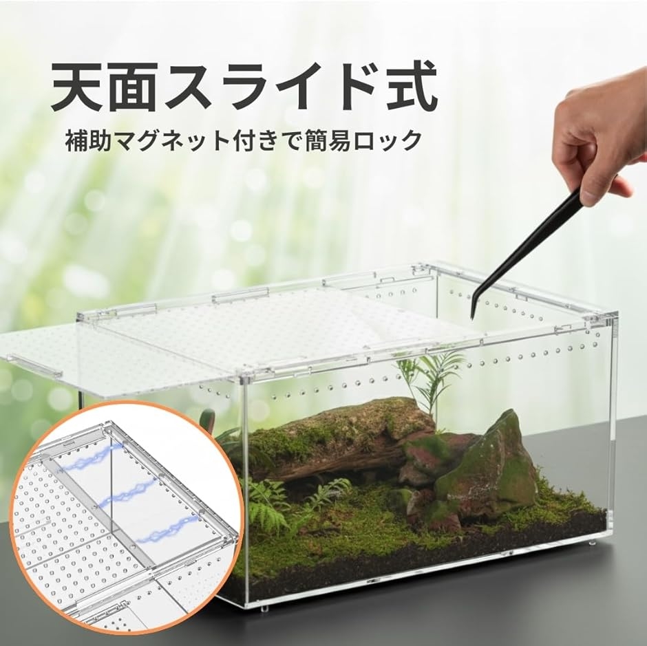 爬虫類 ケージ レオパ シェルター アクリル製...の詳細画像5