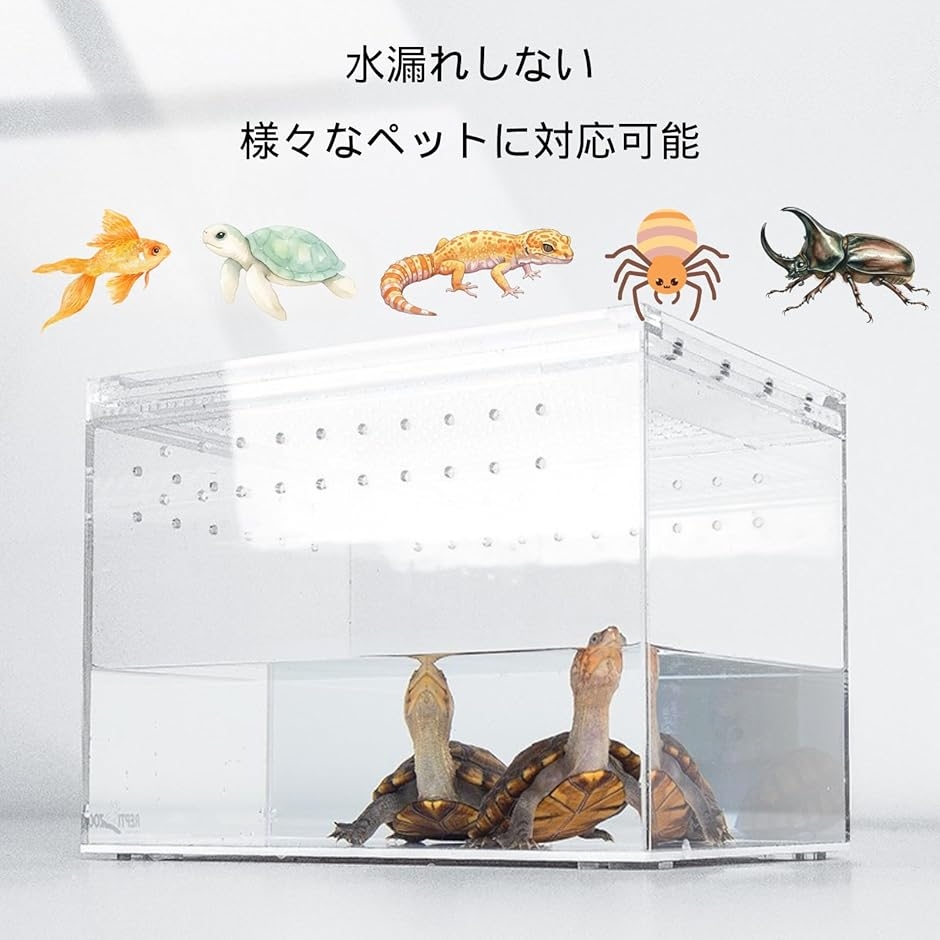 爬虫類ケージ アクリル飼育ケース 小型ペット用ハウス 通気穴付き 観察