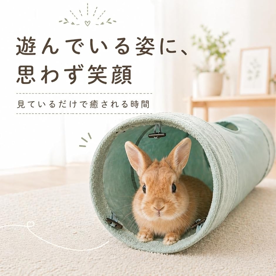 うさぎ ケージ（小動物用回し車、トンネル）｜ケージ、アクセサリー