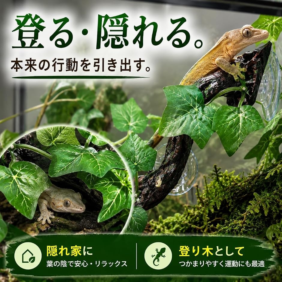 爬虫類 登り木 流木 吸盤付き レイアウト 隠...の詳細画像4