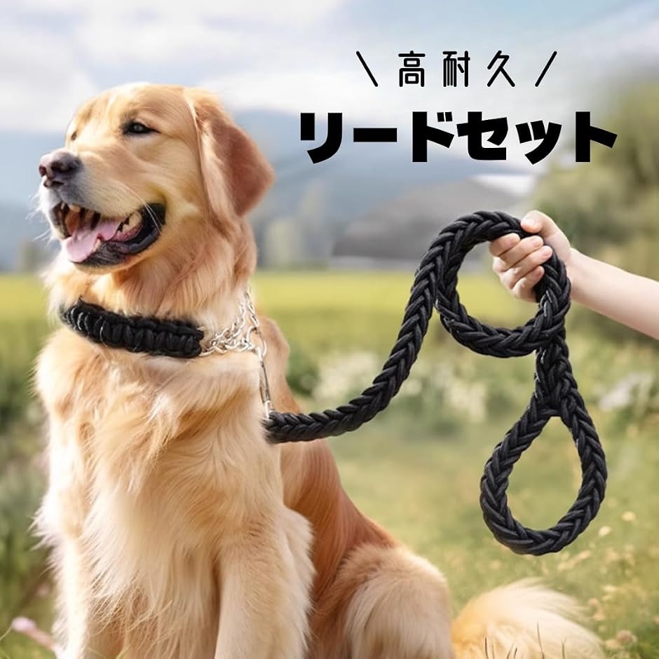 犬 リード 首輪 セット 中型 大型 散歩 パラコード ハーフチョーク