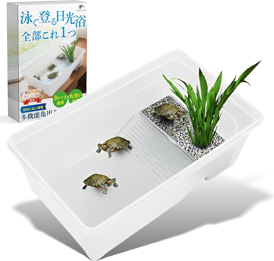 爬虫類飼育アドバイザー監修 亀 水槽 カメ タートル 飼育ケース クリア