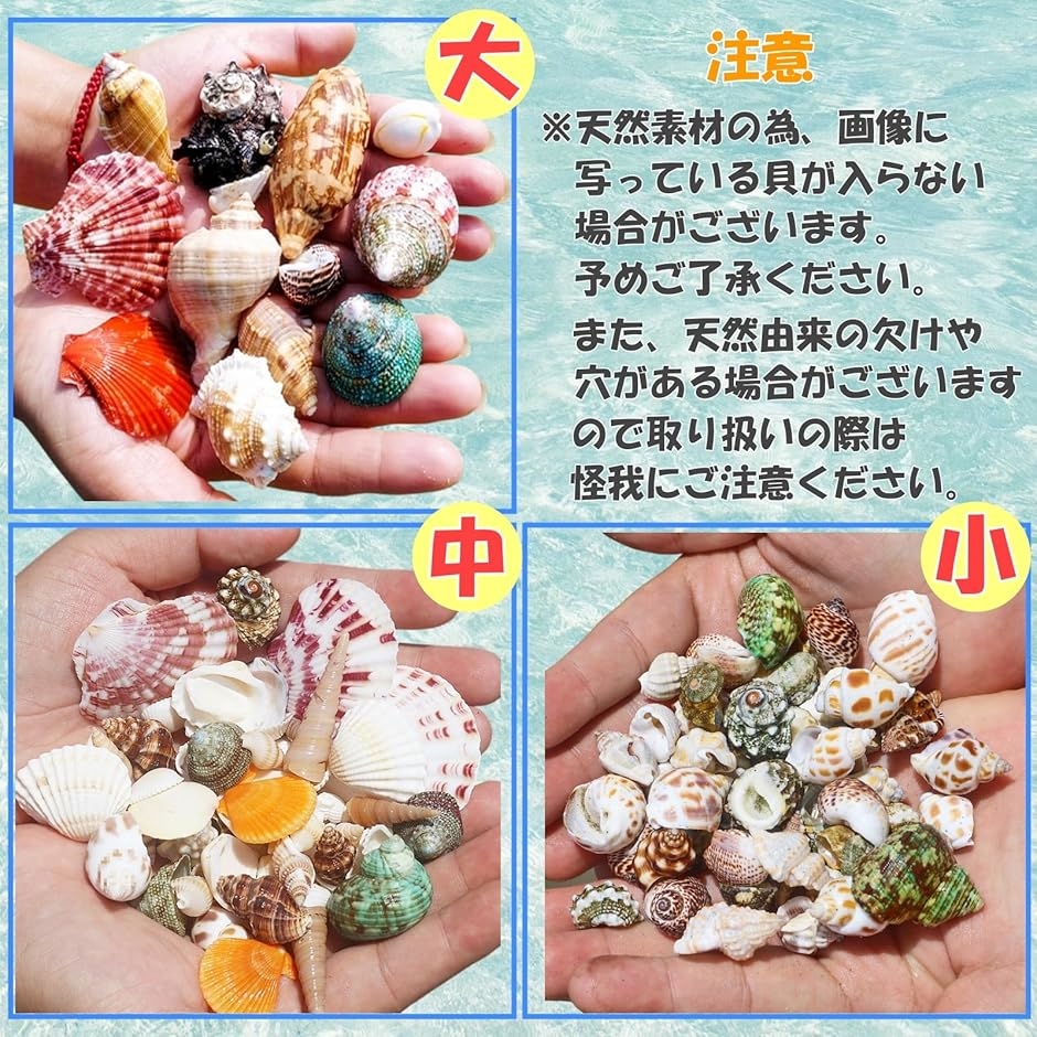 貝殻 ミックスセット ランダム 450g ハンドメイド 工作 DIY