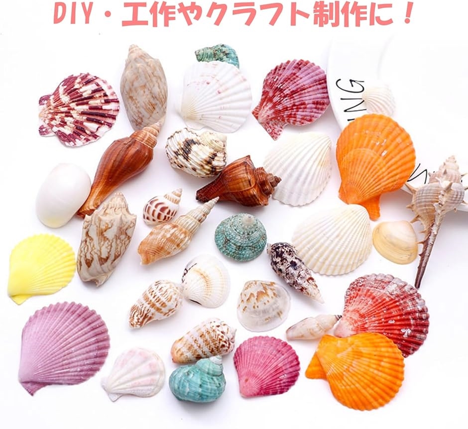 貝殻 ミックスセット ランダム 450g ハンドメイド 工作 DIY
