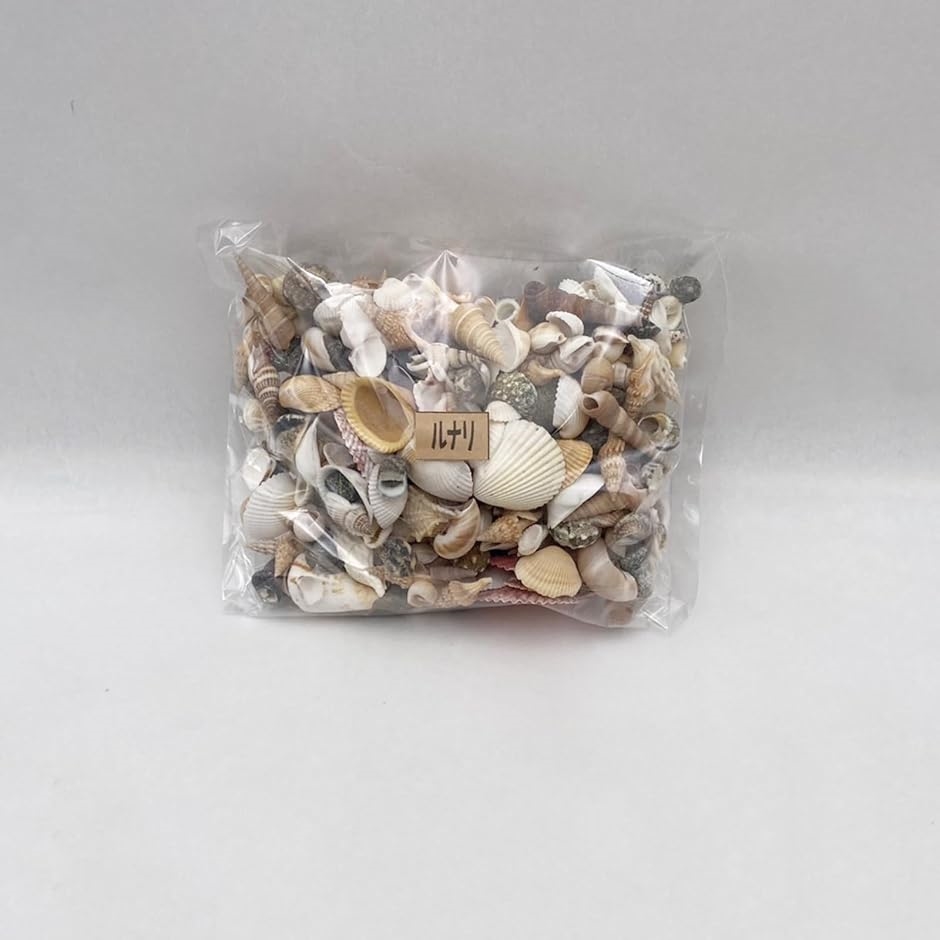 貝殻 ミックスセット ランダム 450g ハンドメイド 工作 DIY