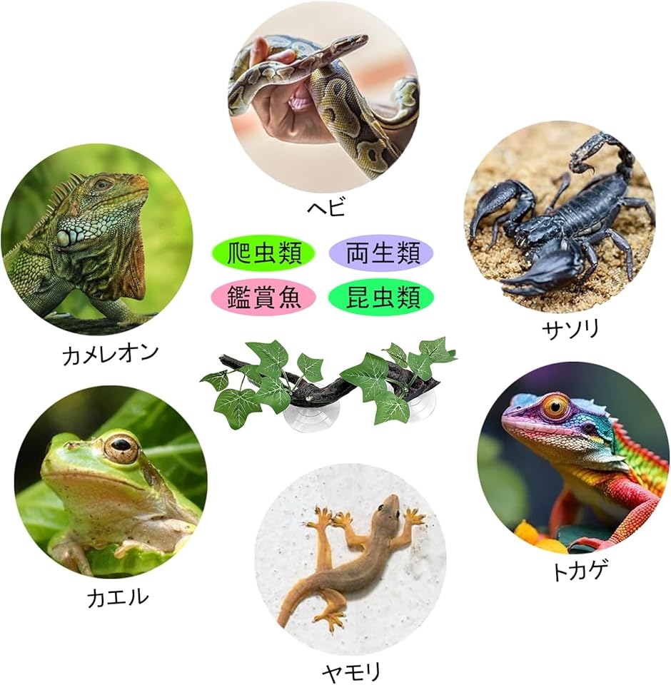 爬虫類 レイアウト 流木 登り木 隠れ家 オーナメント アクアリウム