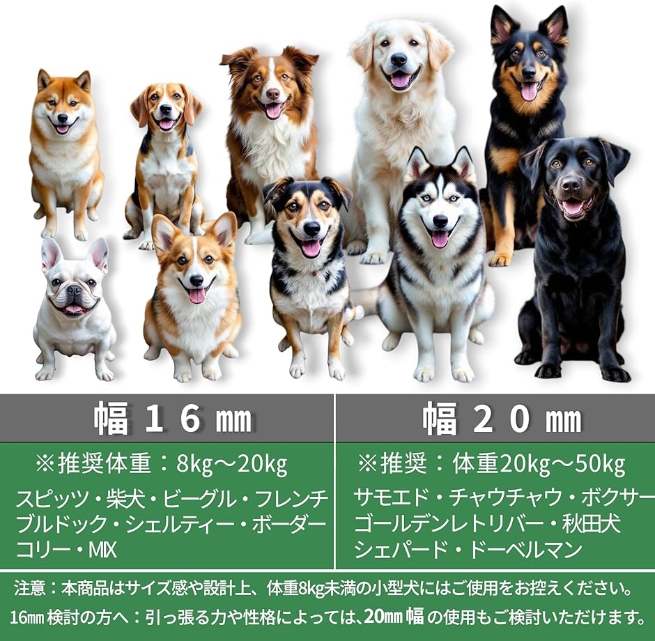 犬 リード 肩掛リード ショルダー 中型犬 大型犬用 ハンズフリー 2.45m