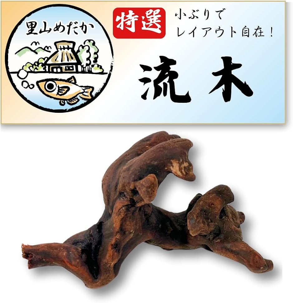 流木 小さめサイズ アクアリウム 水槽用 装飾 (茶色, 3個セット) : ゼ