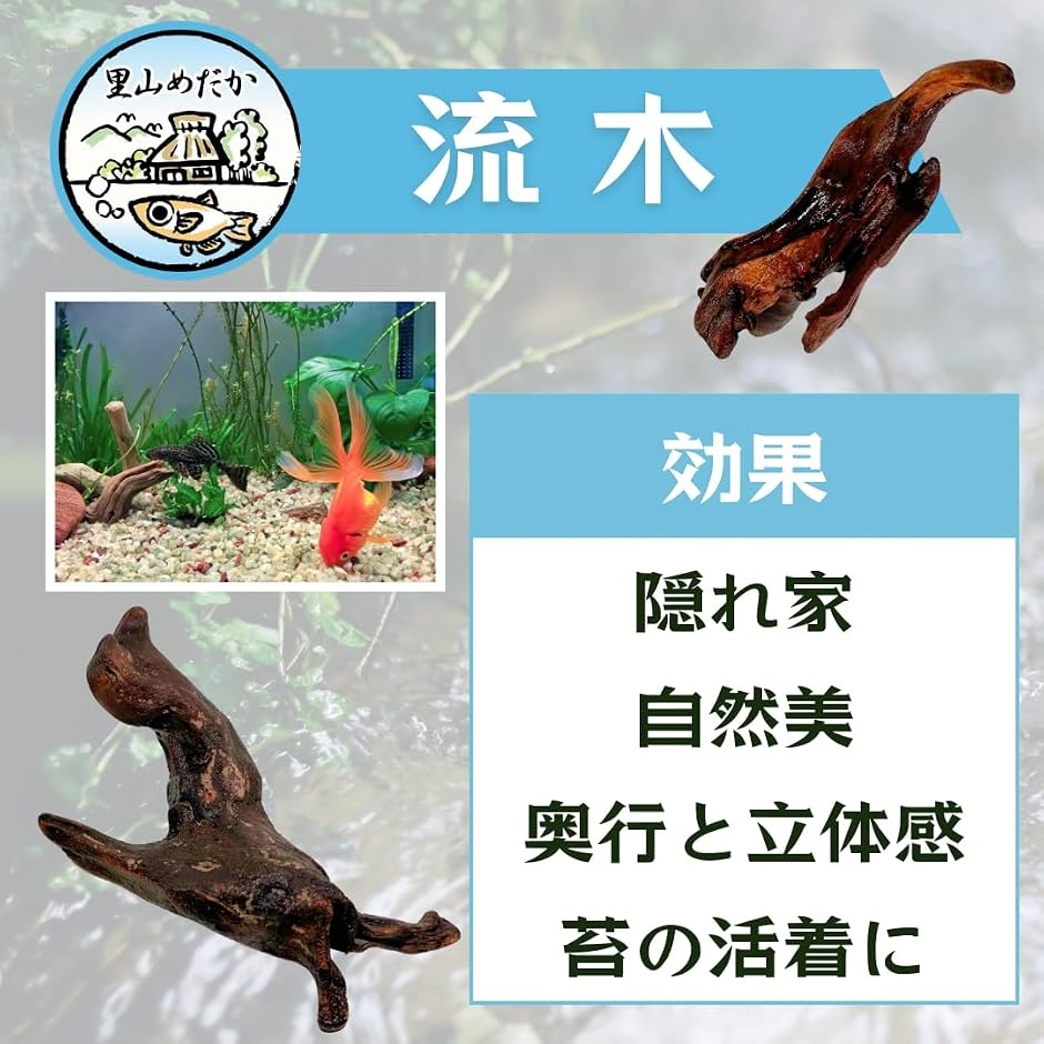 流木 小さめサイズ アクアリウム 水槽用 装飾 (茶色, 3個セット) : ゼ