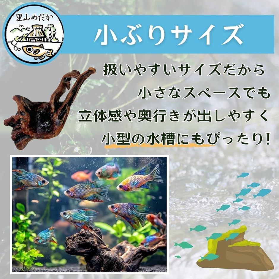 流木 小さめサイズ アクアリウム 水槽用 装飾 (茶色, 3個セット) : ゼ