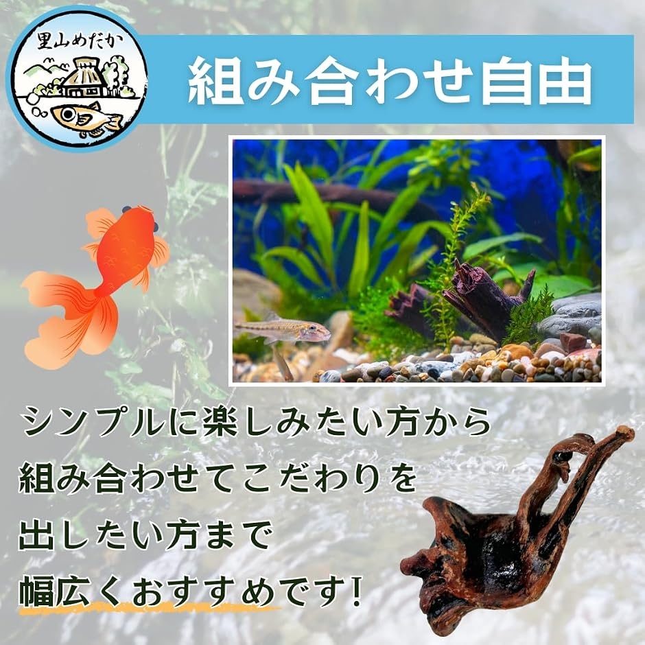 流木 小さめサイズ アクアリウム 水槽用 装飾 (茶色, 3個セット) : ゼ