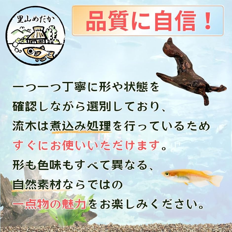 流木 小さめサイズ アクアリウム 水槽用 装飾 (茶色, 3個セット) : ゼ