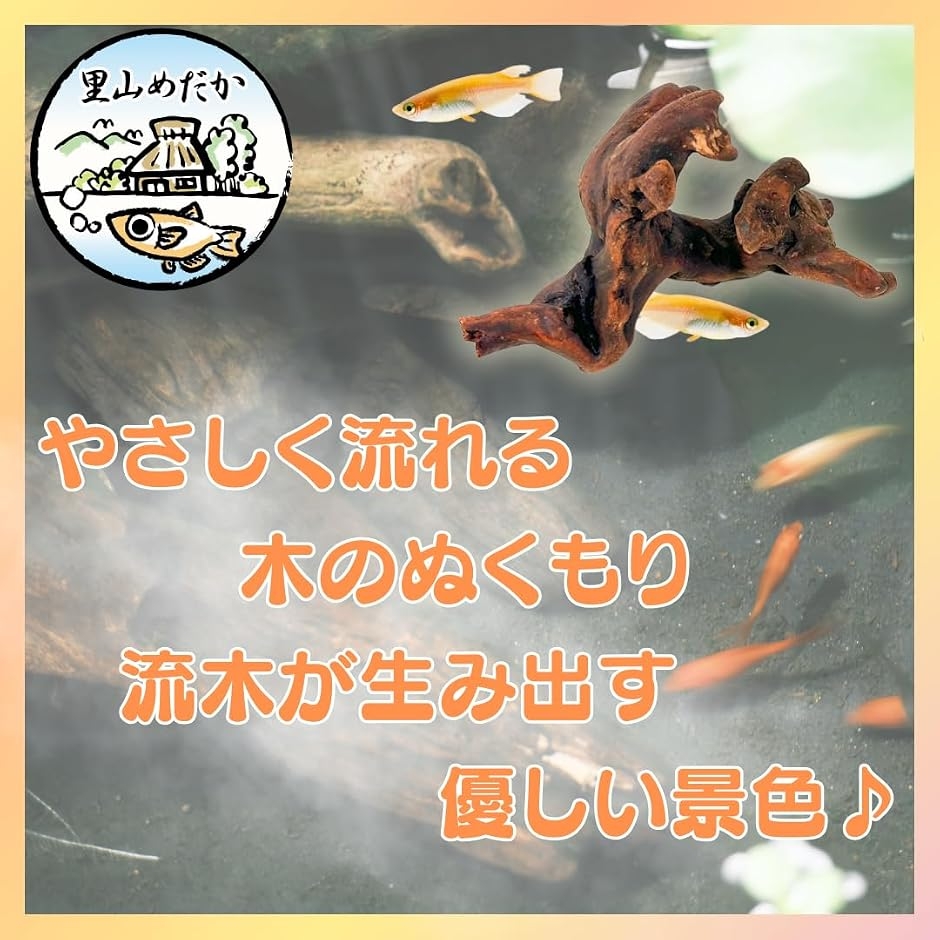 流木 小さめサイズ アクアリウム 水槽用 装飾 (茶色, 3個セット) : ゼ