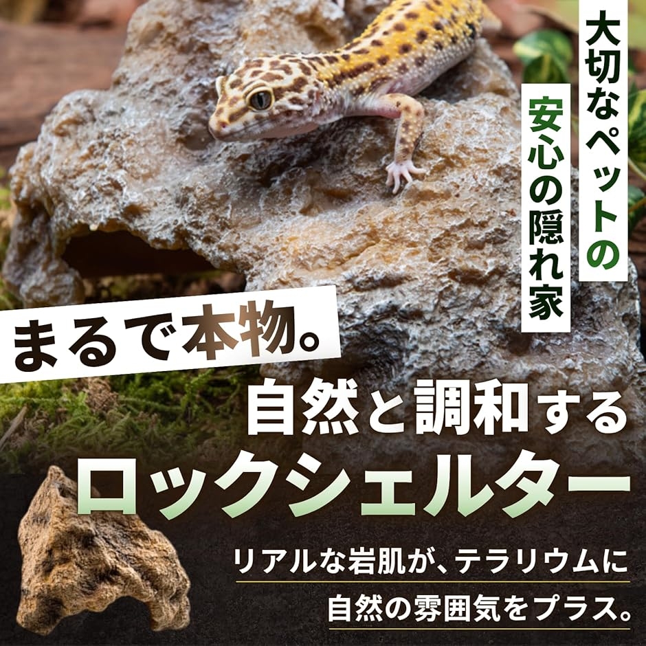 爬虫類 シェルター 隠れ家 亀 トカゲ ロックシェルター 両生類 (14x6