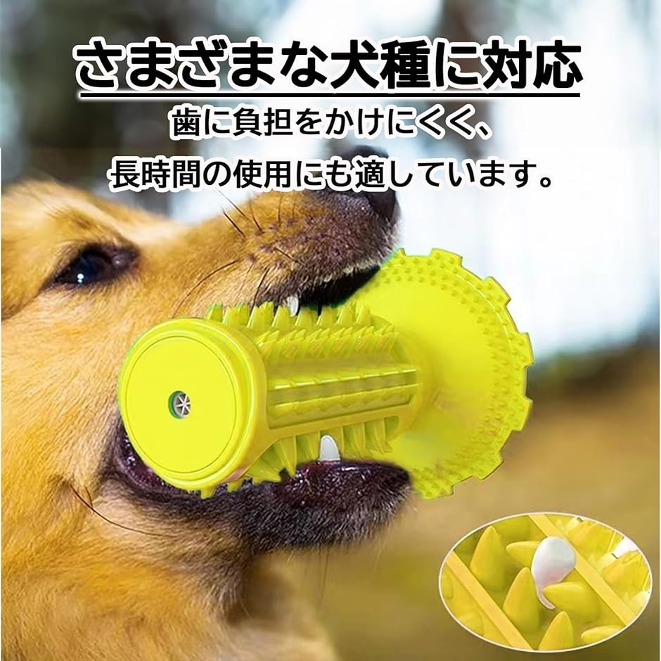 犬の噛むおもちゃ 犬用おもちゃ 知育玩具(イエロー) : ゼブランド