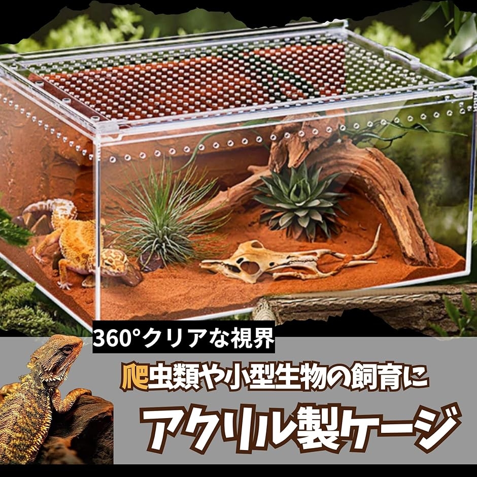 爬虫類 ケージ シェルター 飼育ケース アクリル製 トカゲ 蛇 サソリ 