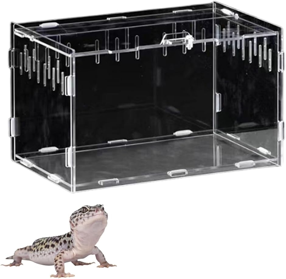 両生類用飼育ケース ヤモリ 飼育セット」の人気商品一覧 | 安い商品を