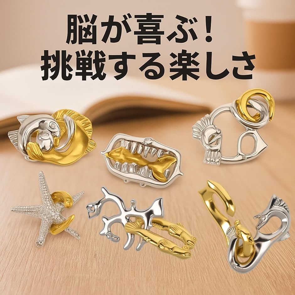 知恵の輪 立体パズル 大人用入院暇つぶしグッズ (シルバー ゴールド 6
