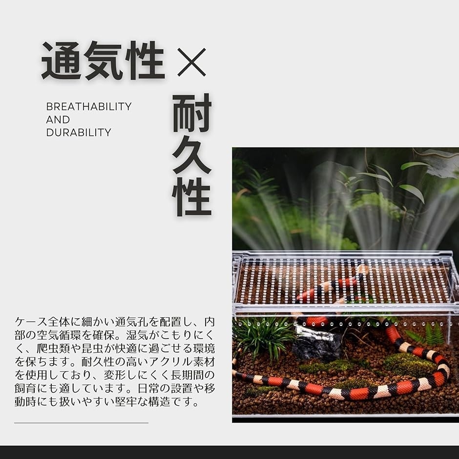 アクリルケース 40cm（温室、飼育ケース（爬虫類、両生類用品
